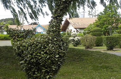 Un écureuil en art topiaire...