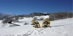 Sortie Raquette en Chartreuse le 28 février