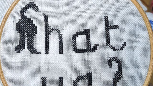 Je retrouve mes chats...