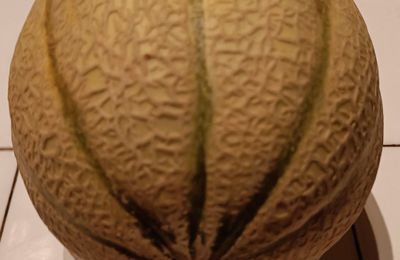 EB - Ne jetez plus les pépins de melon...