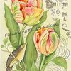 Image ou Transfert  " Tulipes "