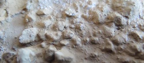 Fissures et peinture