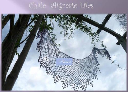 Mai châle "Aigrette" encours terminé  