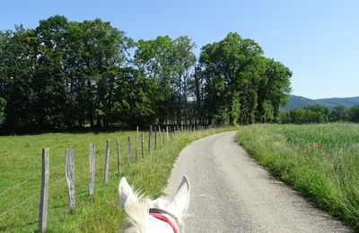 Le 25 juin 2019 : tour au lac des Alliettes