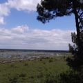 Rando 20 Lacanau 7/6/17