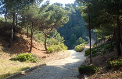 La calanque secrète des Anthénors