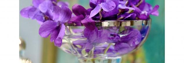 Deux sous d'violettes ...