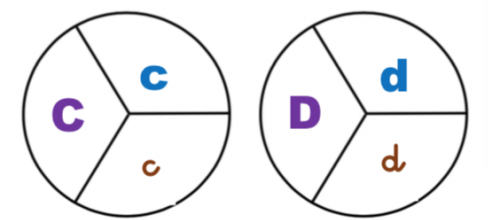 Jeu GS : Les disques des correspondances alphabétiques (les 3 écritures)