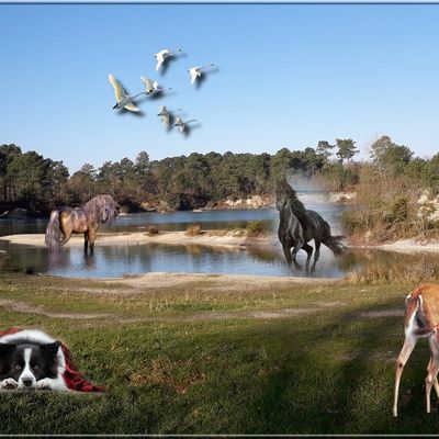  Et çà "clapote" et çà "papote" ... 