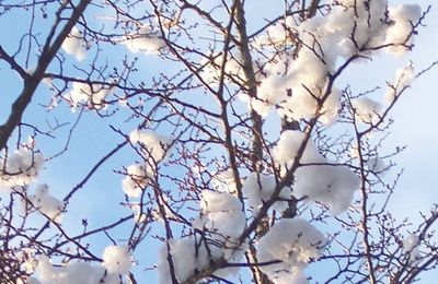 Au revoir Monsieur Hiver....