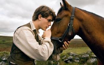 Cheval de guerre - film de 2012 -