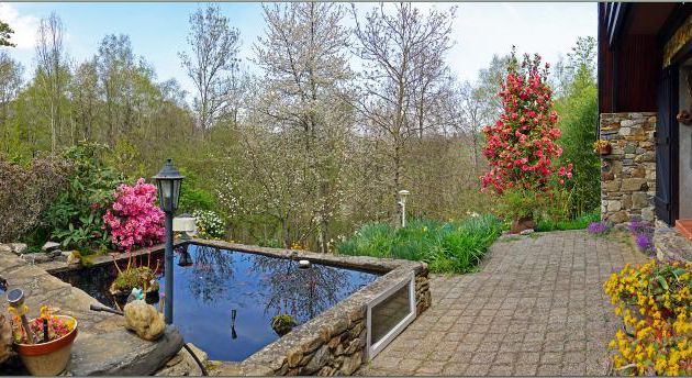 Devant de porte : les fleurs blanches des cerisiers prennent le relais de la couleur des fleurs du camélia - Lartigau - Milhas - 31