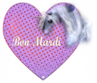 CHEVAL MON AMI