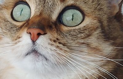 Quya à 6 ans