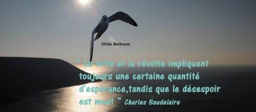 Cette capacité de refuser pour s'affirmer. - Bruno