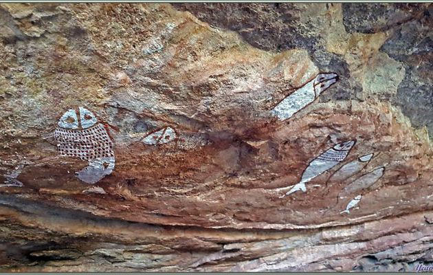 18/09/2022 : Peintures rupestres du peuple Worrorra - Wijingarra Bard Bard (Freshwater Cove) - Kimberley - Australie