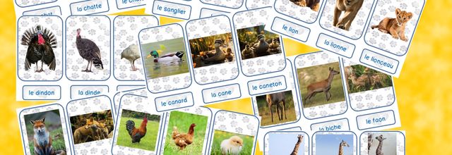 Chass'Familles d'animaux