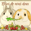 1166 lapin - 1167 fée cœur- Réception 14 -