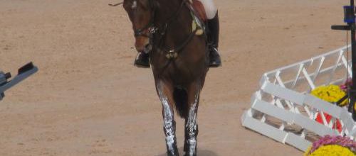 Les Etoiles de Pau : Cross ♥