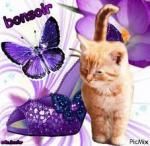 Etui à lunettes "minou"