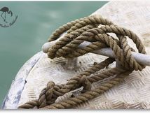 Sur le port...