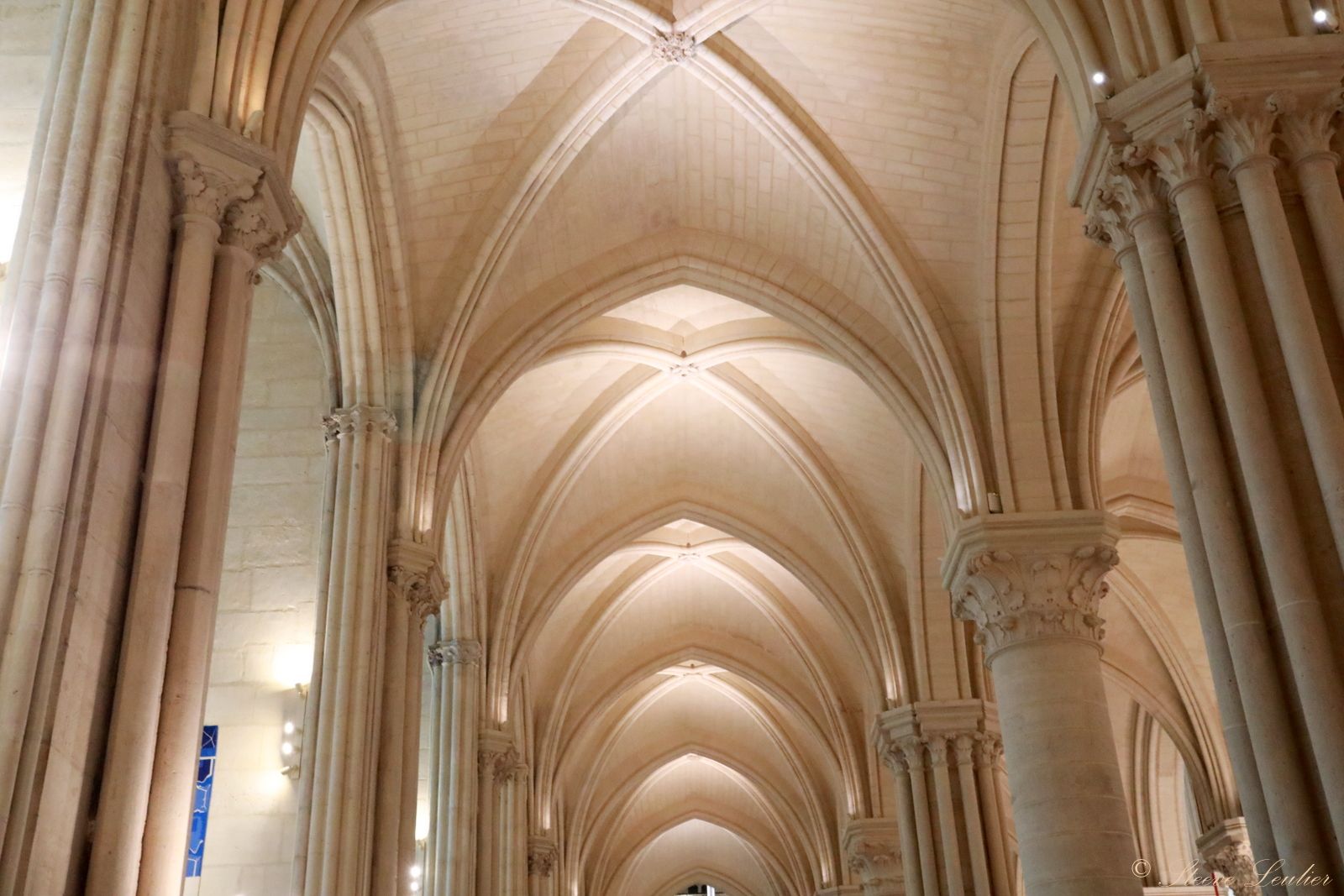 Cathédrale Notre Dame de Paris