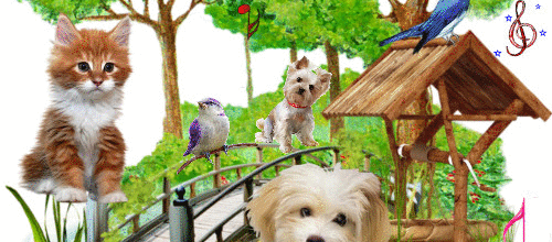 ANIMAUX DANS LA NATURE