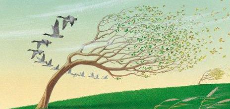Le Vent