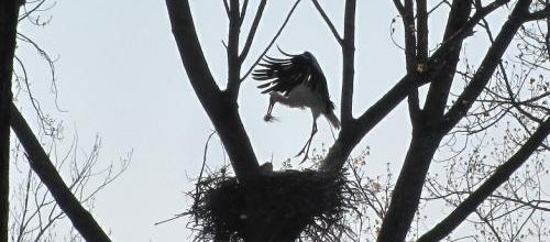 ... atterrissage...!