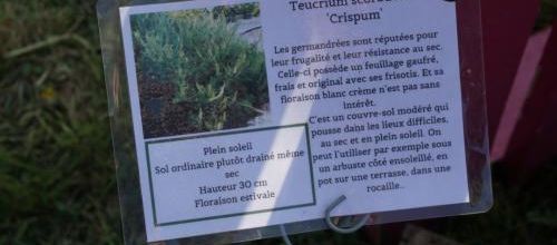 Suis-je perchée ? (2)