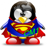 Des ceintures pour le CM1 ! 