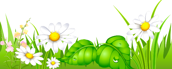 ѼVegetation