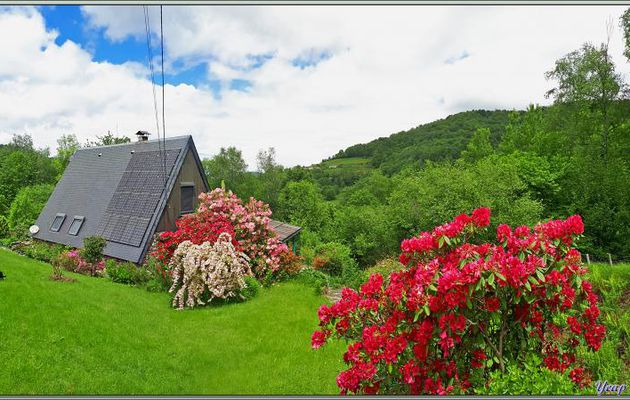 Home sweet home ! - Lartigau - Milhas - 31