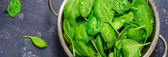 Les bienfaits des légumes verts sur le cerveau