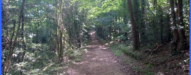 Sainte-Baume, le pas de Brancaille
