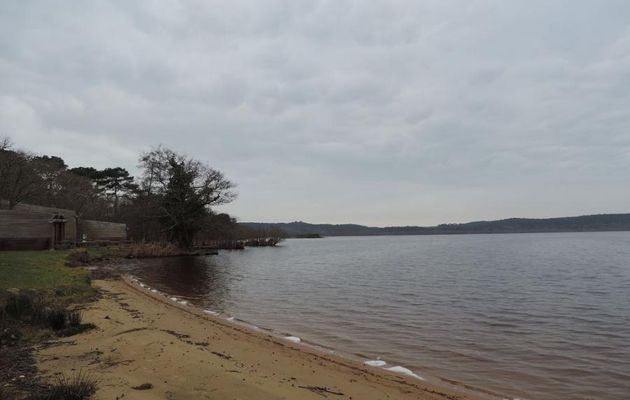 le lac Léon dans les Landes (40)