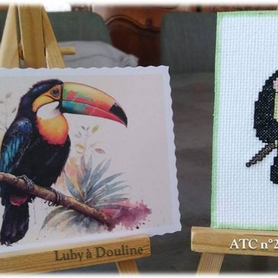 ATC "Toucan" chez Tortue