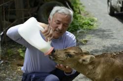 L'homme de Fukushima qui est resté pour les animaux