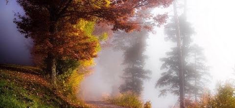 Vosges Passionnément.... l'Automne