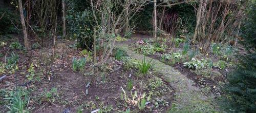 Jardin d'André Eve mars 2016/2019