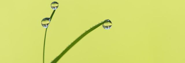 Vert d'Eau