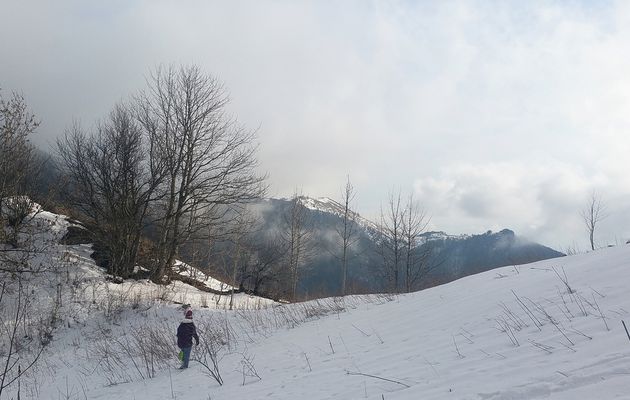Sous le Grand Colombier
