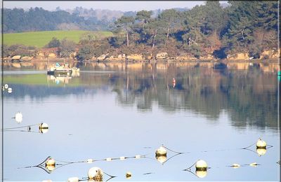 838 - Riec sur Belon, en Finistère Sud (29S) (Coup de coeur et Histoire d’huîtres)