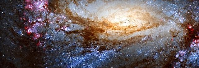 M66
