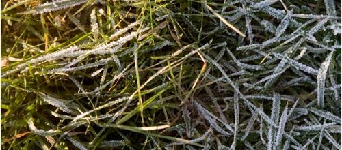 Givre, glace et bulles!