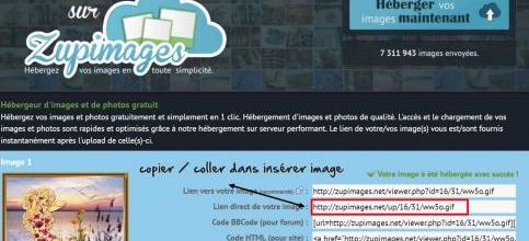 insérer une image dans un commentaire