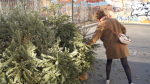 Comment vous débarrasser de votre sapin de Noël ?