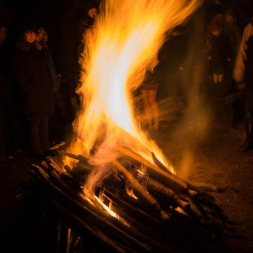 Les fayes de Château-Chalon - 2013