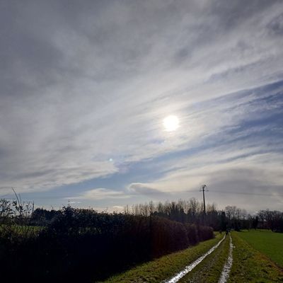 BONNES (86)  LA RANDONNÉE DE LA GALETTE