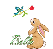 746  - Lapin et oiseau - 